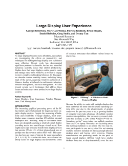 Large Display User Experience