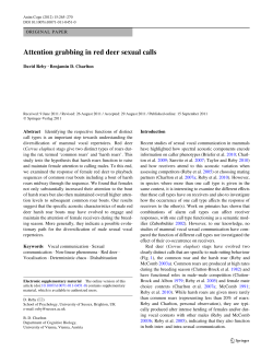 Attention grabbing in red deer sexual calls