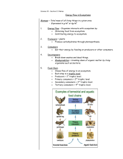 2-1 Notes - Energy Flow in Ecosystems