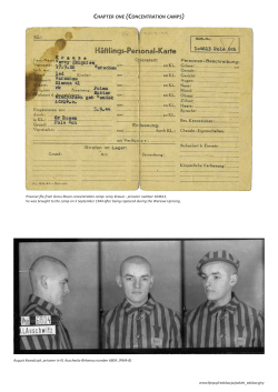CHAPTER ONE (CONCENTRATION CAMPS)