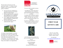 Kitten Vaccine Brochure - Lebanon Animal Hospital
