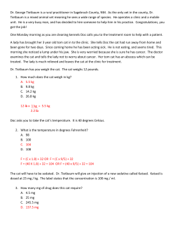 Practicum #2 Answers