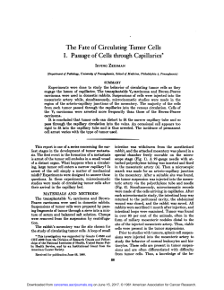 The Fate of Circulating Tumor Cells I. Passage of