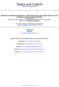 Space and Culture - 2er Skateboarding eV