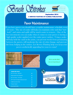Paver Maintenance - Service Painting of Florida