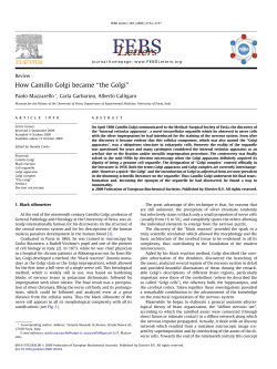 How Camillo Golgi became &ldquo;the Golgi&rdquo;