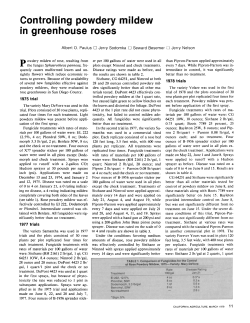 Controlling powdery mildew in greenhouse roses