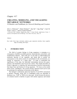 Creating, modeling, and visualizing metabolic networks