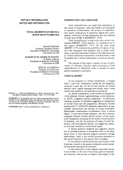notas e informa&ccedil;&otilde;es notes and information fetal mummification in a
