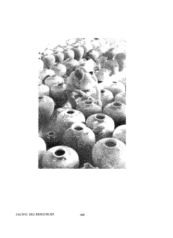 artifact descriptions, ceramic cargo