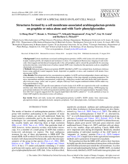 Structures formed by a cell membrane