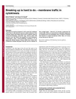 Breaking up is hard to do &ndash; membrane traffic in cytokinesis