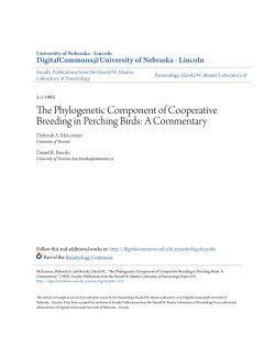 The Phylogenetic Component of Cooperative Breeding in Perching