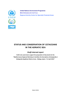 status and conservation of cetaceans