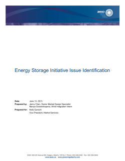 Energy Storage Initiative Issue Identification