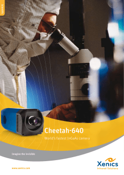 Cheetah-640