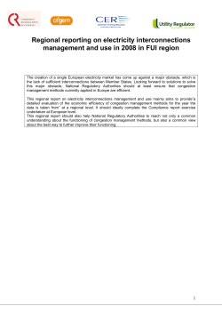 FUI Report on Electricity Interconnection