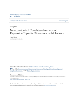 Neuroanatomical Correlates of Anxiety and