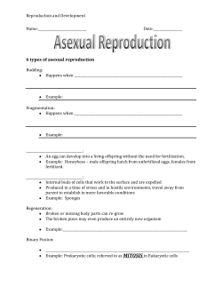 6 types of asexual reproduction