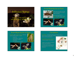 Pollination Biology