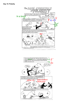 Day 15- Polarity