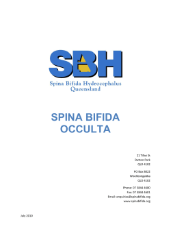 spina bifida occulta - Spina Bifida Hydrocephalus Queensland