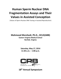 Human Sperm Nuclear DNA Fragmentation Assays and Their