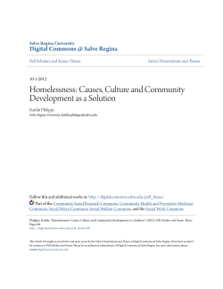 Homelessness: Causes, Culture and Community Development as a
