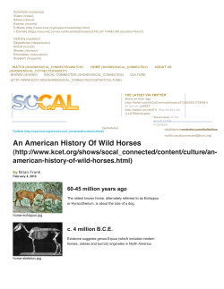 An American History Of Wild Horses | Culture | SoCal Connected