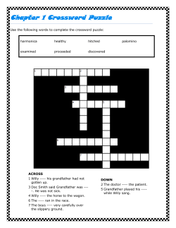 Chapter 1 Crossword Puzzle