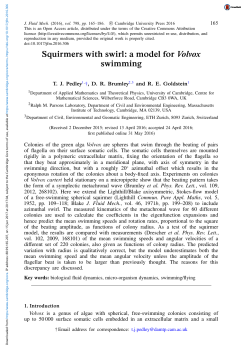 Squirmers with swirl: a model for Volvox swimming