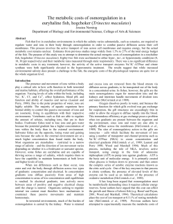 The metabolic costs of osmoregulation in a euryhaline fish