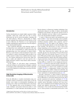 Methods to Study Mitochondrial Structure and Function
