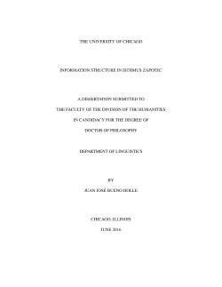 the university of chicago information structure in isthmus zapotec a