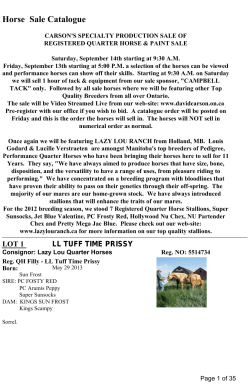 Horse Sale Catalogue