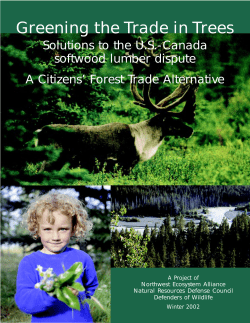 Greening the Trade in Trees: Solutions to the U.S.