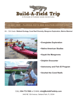 Everglades Exploration &bull; Native American - Build-A
