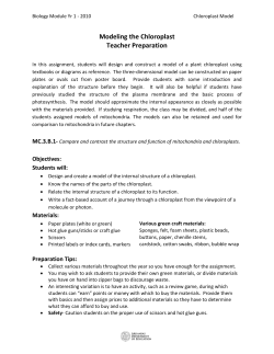 Modeling the Chloroplast Teacher Preparation