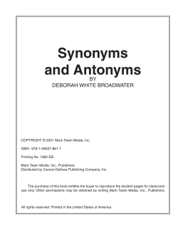 Synonyms and Antonyms