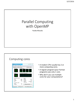 Parallel Computing in Animal Breeding