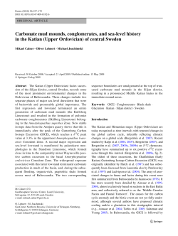 Carbonate mud mounds, conglomerates, and sea