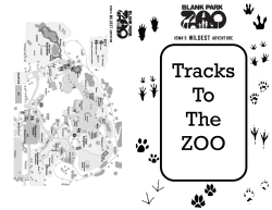 Tracks To The ZOO