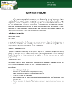 Business Structures