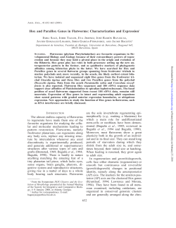 Hox and ParaHox Genes in Flatworms: Characterization and