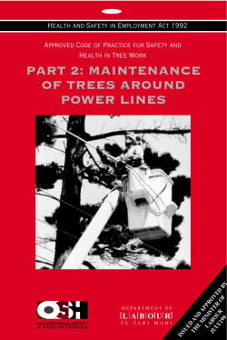 Maintenance of Trees Around Power Lines