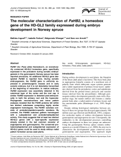 a homeobox gene of the HD-GL2 family expressed during embryo