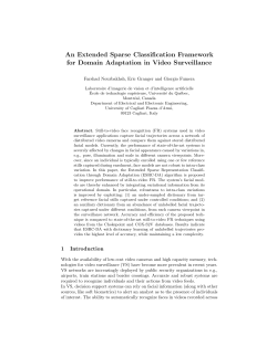 An Extended Sparse Classification Framework for Domain