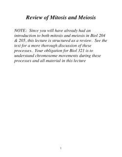 Review of Mitosis and Meiosis