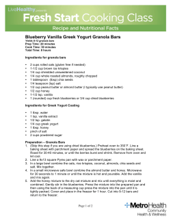 Blueberry Vanilla Greek Yogurt Granola Bars