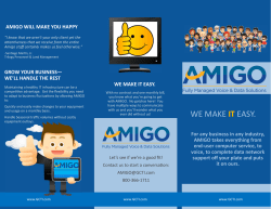AMIGO Tri Fold Brochure v2 (w Kazoo).pub